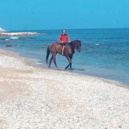 High By The Beach House In Girne Holiday home Agios Georgios (Kyrenia)